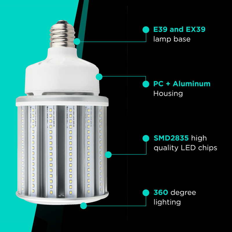 remote head emergency light